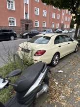 Bild zu gemeldetem Anliegen vom *2024-09-23 12:31:17