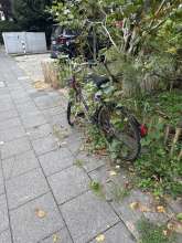 Bild zu gemeldetem Anliegen vom *2024-09-25 09:36:33