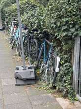 Bild zu gemeldetem Anliegen vom *2024-09-25 09:40:21
