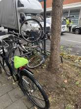 Bild zu gemeldetem Anliegen vom *2024-09-25 09:48:56