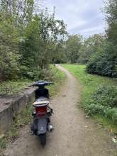 Bild zu gemeldetem Anliegen vom *2024-09-25 09:29:07
