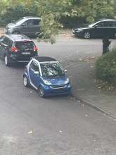 Bild zu gemeldetem Anliegen vom *2024-09-28 12:27:46