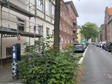 Bild zu gemeldetem Anliegen vom *2024-09-06 09:28:18