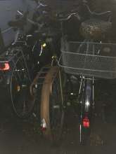 Bild zu gemeldetem Anliegen vom *2024-09-08 20:19:24