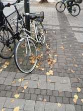 Bild zu gemeldetem Anliegen vom *2024-10-02 18:39:58