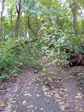 vom *2024-10-13 15:27:10
