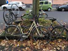 Bild zu gemeldetem Anliegen vom *2024-10-13 09:54:24