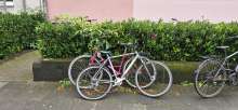 Bild zu gemeldetem Anliegen vom *2024-10-10 09:29:17