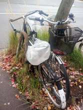 Bild zu gemeldetem Anliegen vom *2024-10-13 12:28:02