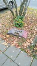 Bild zu gemeldetem Anliegen vom *2024-10-17 15:28:27