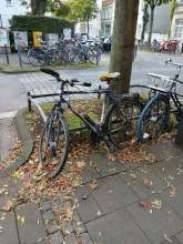 Bild zu gemeldetem Anliegen vom *2024-10-02 08:03:45