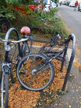 Bild zu gemeldetem Anliegen vom *2024-10-02 08:08:31