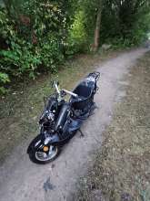 Bild zu gemeldetem Anliegen vom *2024-10-12 15:31:35