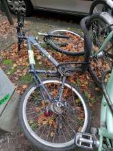 Bild zu gemeldetem Anliegen vom *2024-10-09 12:27:19