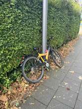 Bild zu gemeldetem Anliegen vom *2024-10-05 06:36:02
