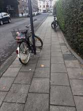 Bild zu gemeldetem Anliegen vom *2024-10-18 12:27:58
