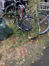 Bild zu gemeldetem Anliegen vom *2024-10-07 12:09:02