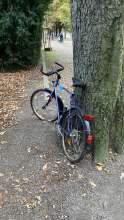 Bild zu gemeldetem Anliegen vom *2024-10-08 08:02:32