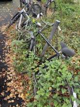 Bild zu gemeldetem Anliegen vom *2024-10-08 12:48:08