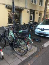 Bild zu gemeldetem Anliegen vom *2024-10-11 16:36:53