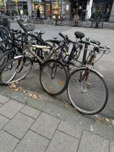Bild zu gemeldetem Anliegen vom *2024-10-14 09:32:54