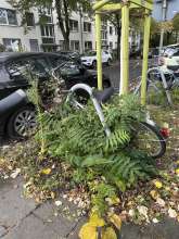 Bild zu gemeldetem Anliegen vom *2024-10-14 11:26:21