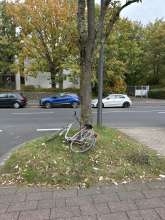 Bild zu gemeldetem Anliegen vom *2024-10-14 11:41:52
