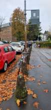 Bild zu gemeldetem Anliegen vom *2024-11-14 09:31:40