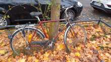Bild zu gemeldetem Anliegen vom *2024-11-13 12:27:19