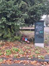 Bild zu gemeldetem Anliegen vom *2024-11-14 09:31:40