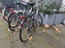 Bild zu gemeldetem Anliegen vom *2024-11-10 09:28:44