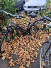 Bild zu gemeldetem Anliegen vom *2024-11-10 14:31:39