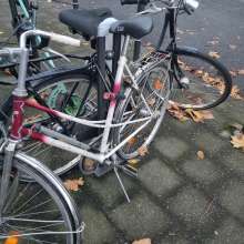 Bild zu gemeldetem Anliegen vom *2024-11-26 07:02:43