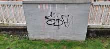 Bild zu gemeldetem Anliegen vom *2024-11-12 15:51:34