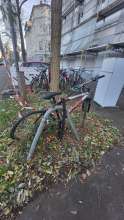 Bild zu gemeldetem Anliegen vom *2024-11-29 16:13:30