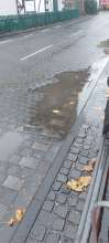 Bild zu gemeldetem Anliegen vom *2024-11-27 09:27:14