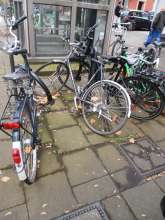 Bild zu gemeldetem Anliegen vom *2024-11-11 16:02:10
