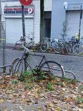 Bild zu gemeldetem Anliegen vom *2024-11-15 08:15:30