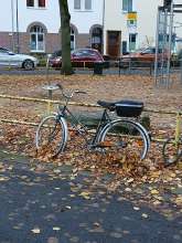 Bild zu gemeldetem Anliegen vom *2024-11-15 08:21:49