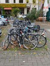 Bild zu gemeldetem Anliegen vom *2024-11-15 12:47:35