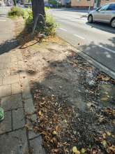 Bild zu gemeldetem Anliegen vom *2024-11-25 16:33:21