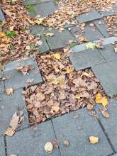 Bild zu gemeldetem Anliegen vom *2024-11-25 16:38:11