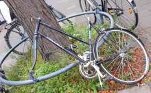 Bild zu gemeldetem Anliegen vom *2024-11-09 11:20:51
