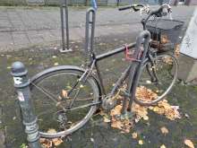 Bild zu gemeldetem Anliegen vom *2024-11-13 15:36:19