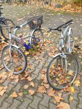 Bild zu gemeldetem Anliegen vom *2024-11-15 12:27:13
