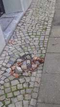 Bild zu gemeldetem Anliegen vom *2024-11-21 12:35:48
