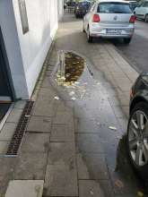 Bild zu gemeldetem Anliegen vom *2024-11-24 09:31:11