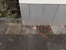 Bild zu gemeldetem Anliegen vom *2024-11-27 11:13:16
