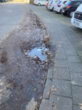 Bild zu gemeldetem Anliegen vom *2024-11-29 12:29:08