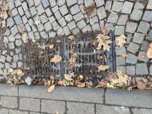 Bild zu gemeldetem Anliegen vom *2024-11-28 09:28:56